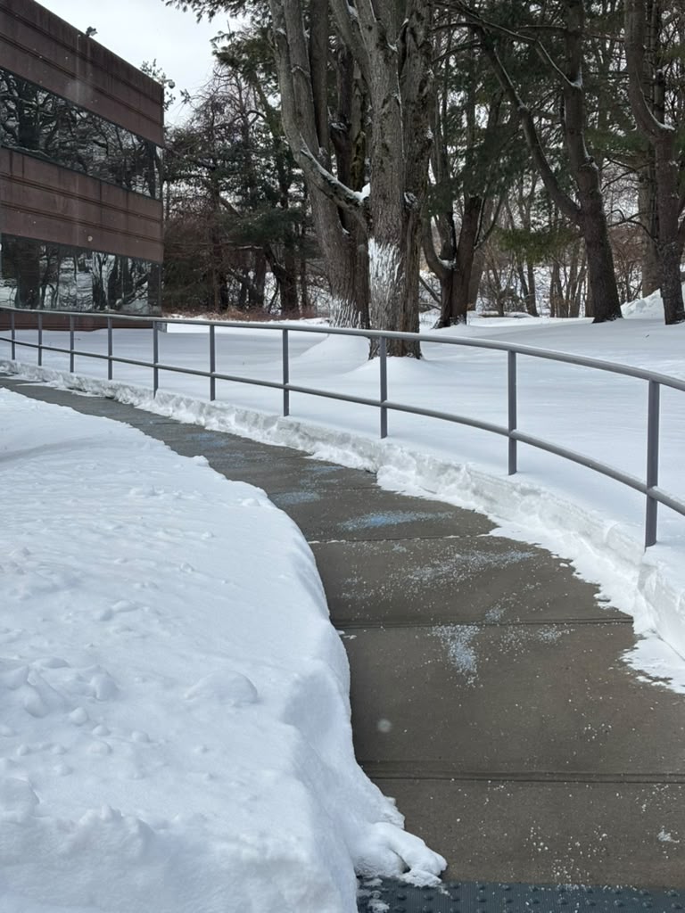 Snow removal project