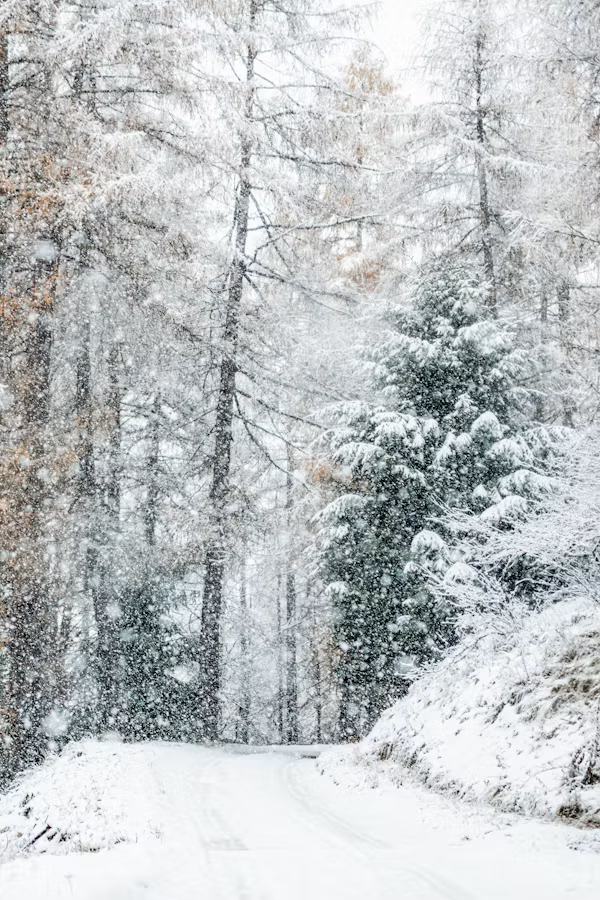 Connecticut winter road
